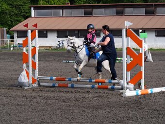 Prodej pony s TOP povahou - 11
