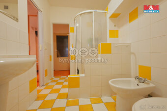 Prodej rodinného domu, 177 m², Skaštice - 11