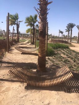 Cabano  Soma bay Egypt - 11