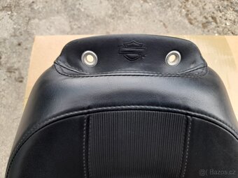 HARLEY DAVIDSON® BREAKOUT FXSB SISSYBAR - 11
