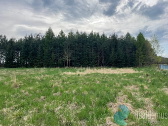 Prodej, Stavební pozemek, 3 636 m2 + 4157 m2 Les, Jílovice u - 11