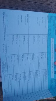 Kobyla slezský norik - 11