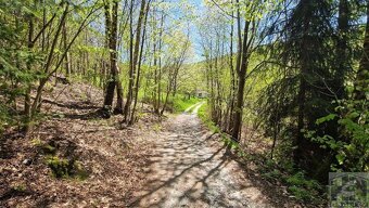 Prodej pozemku v obci Radčice u Železného Brodu 1417m2 - 11