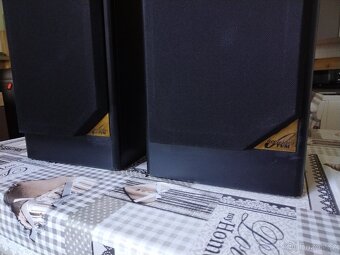 Reprobedny Tesla TVM acoustics - 11