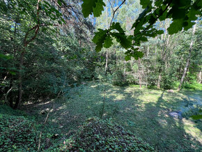 Malebný pozemek 2217 m2 u Prahy - Kamenný Přívoz - 11