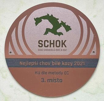 Koza "Česká bílá krátkosrstá". - 11