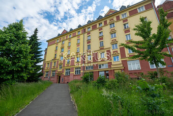 Pronájem prostorného bytu 2+1 (70 m2) na ulici Cingrova, Mor - 11