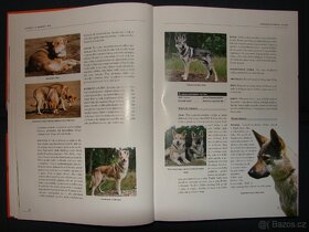 Plastové modely Letadlo, motorka Knihy rybářství, psi, Atlas - 11