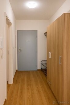 Prodej bytu 2+kk  57 m² s balkonem, Plzeň - Pecháčkova - 11
