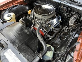 Pontiac Firebird - 11