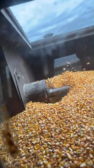 E512 s kukuričným adaptérom oros - 11