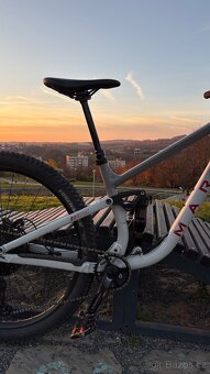 Marin Rift zone 2 - 11