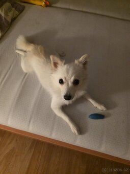 TV LG OLED55C9 titanium - 11