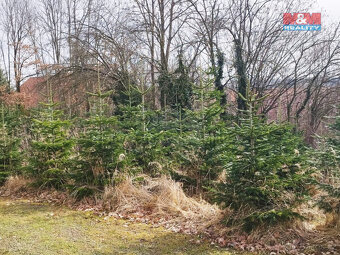 Prodej pozemku k bydlení, 3086 m², Podmoky - 11