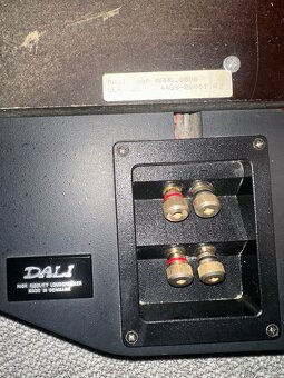 High-End Dali Skyline 1000 - 11