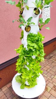 Hydroponická věž - 6 pater - 11