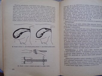 Chov ovcí, Biologie výživy, Kožešinové zvířata, Základy. - 11