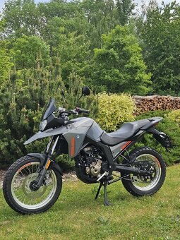 Malaguti Dune 125 ABS - 11
