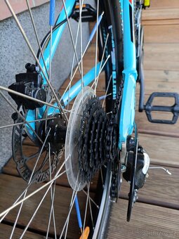 Kolo GT Agressor Expert - 11