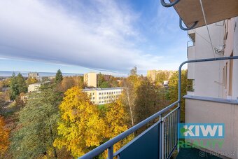 Prodej, byt 2+1, Havířov-Podlesí, ul. Okrajová, ev.č. 1541 - 11