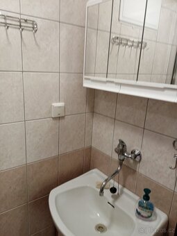 Pronájem chaty Římov - Dolní Stropnice - 11