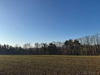Prodám lesní pozemky v k.ú. Radouň - 11
