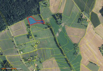 Prodej pozemku 5776 m2 v Borové u Poličky, okr. Svitavy - 11