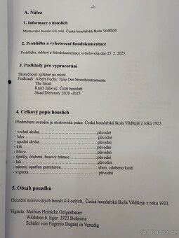 Prodám mistrovské housle Mathias Heinicke - 11