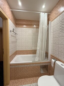 Pronájem bytu 1+1 (33 m2) + lodžie (5 m2), Praha 4 - Nusle, - 11