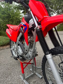 Honda crf125f 2023  (velké kola) - 11