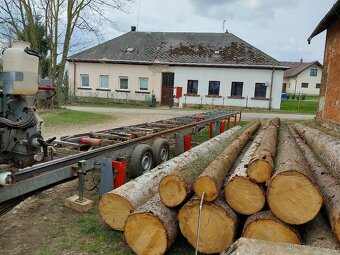 Pořez kulatiny kmenovou pásovou pilou - 11