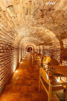 Vinný sklípek - penzion podnikání - 11