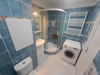 Pronájem bytu 1+kk (35 m2 ) Frenštát p. R. - 11