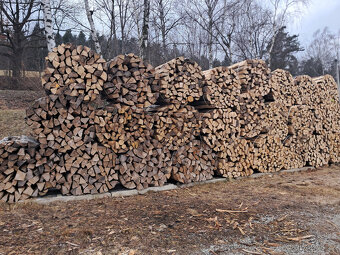 Palivové dřevo smrk suchý, buk- suchý , bříza - 11