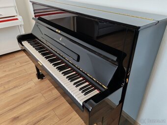 Steinway and Sons dovoz celá ČR - 11