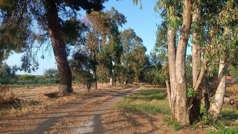 Sicílie, vila 3+kk, 114 m2, poz. 550 m2, Pace del Mela - 11