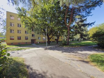 Pronájem bytu 3+1 - 11