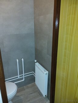 Pronájem rekreačního domku - 11