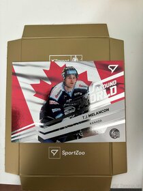 Hokejové karty OFS 2023-2024 - 11