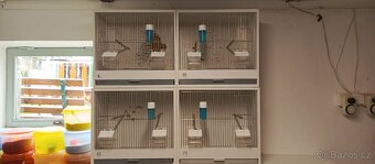 Prodám bednové klece - 11