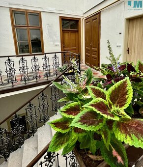 Pronájem bytu - loft - 1+1 - 57 m², Třebíč - Karlovo náměstí - 11