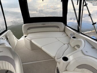 STINGRAY 250CS + príves - 11