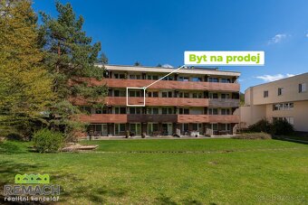 Prodej, byt 1+kk s balkonem, 25 m2, Všemina, ev.č. 03196 - 11