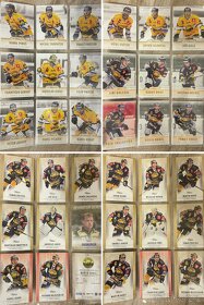 Hokejové karty - HC Litvínov - 11