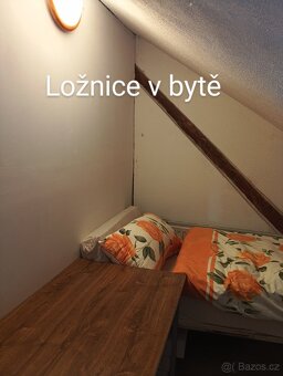 Pronájem bytu - 11