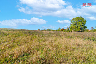Prodej louky, 1769 m², Krásné Údolí - 11