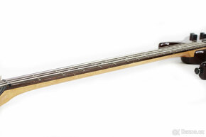 Kytara PEAVEY Millennium AC BXP - 11