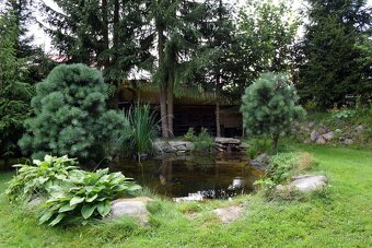 Chalupa U houbaře Svratouch Ždárské vrchy vysočina - 11