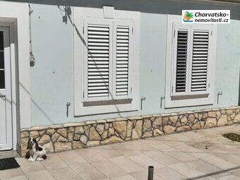 Prodej, byt 3+kk, 100 m, , , Česko - 11