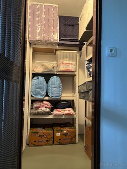 Prodej bytu 3+kk, 87 m² + zahrady 300 m² + garáž, Žichlínek - 11